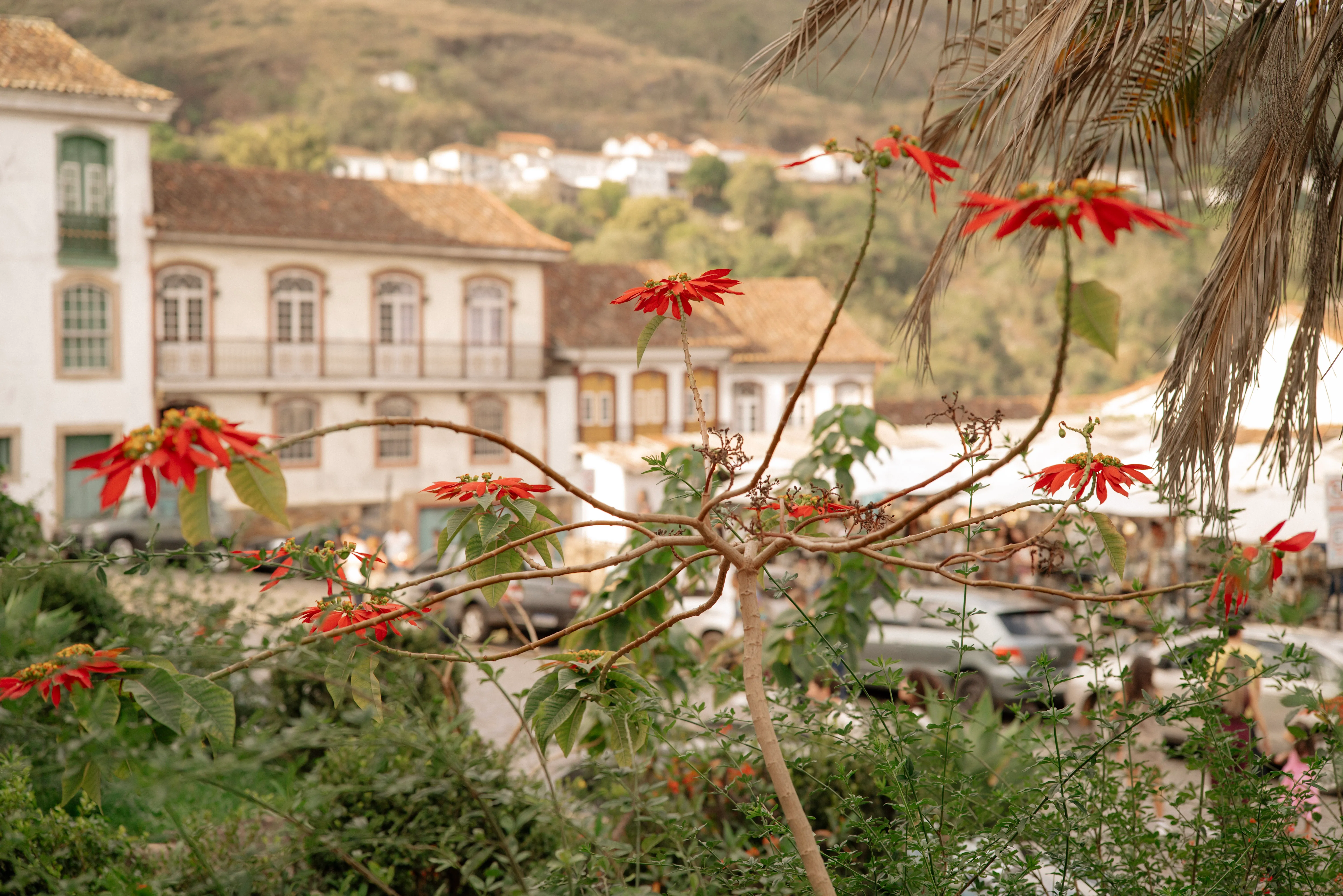 A luz da manhã atravessava as cortinas do casarão